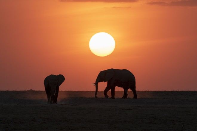 瑪沙瑪拉國家公園保護區