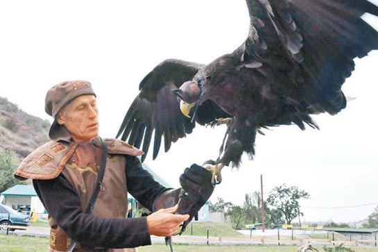 獵鷹中心(廣場)