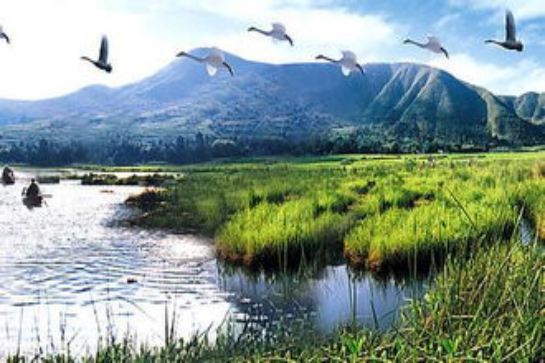 北海濕地景區