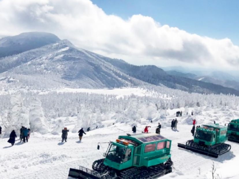 Wild Monster雪怪車 