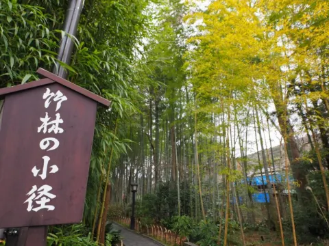 修善寺溫泉區~竹林小徑