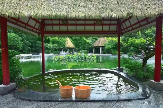 新豐雲天海溫泉原始森林度假村