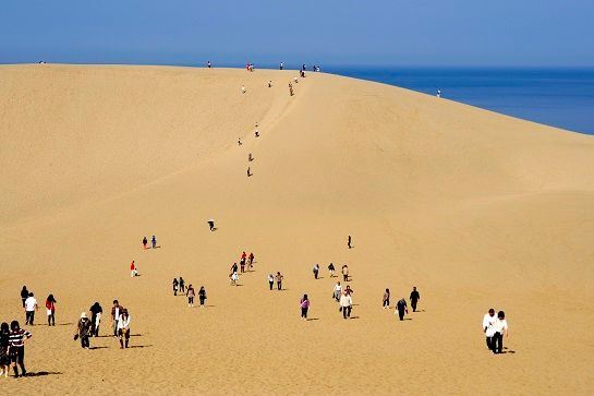 鳥取沙丘