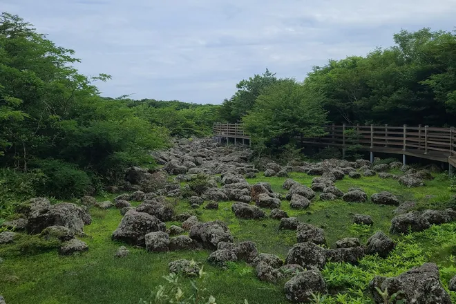 漢拏山1100高地