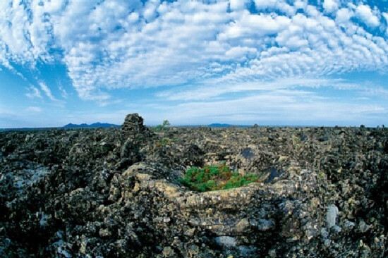 五大連池~噴氣碟