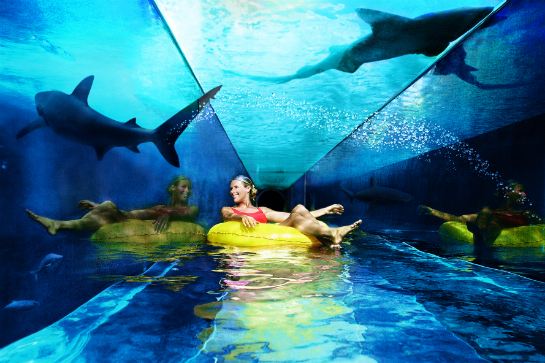 Aquaventure水上樂園