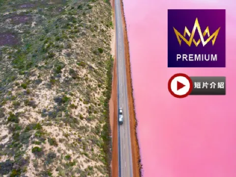 【CHILL豪享受】西澳粉紅湖 8天豪華遊·【與香港零時差】-珀斯入住3晚國際5星酒店/12人以上乘坐33座旅遊車/包乘坐小型飛機暢遊粉紅湖/安排品嚐西澳龍蝦、雪蟹及於5星皇冠酒店享用自助晚餐