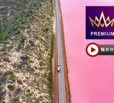 【CHILL豪享受】西澳粉紅湖 8天豪華遊·【與香港零時差】-珀斯入住3晚國際5星酒店/12人以上乘坐33座旅遊車/包乘坐小型飛機暢遊粉紅湖/安排品嚐西澳龍蝦、雪蟹及於5星皇冠酒店享用自助晚餐