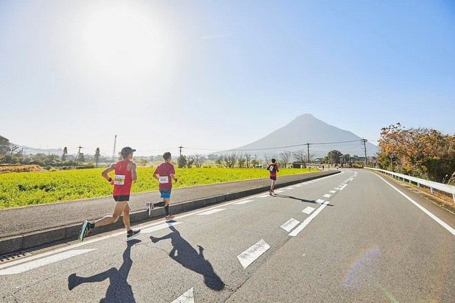 指宿油菜花馬拉松