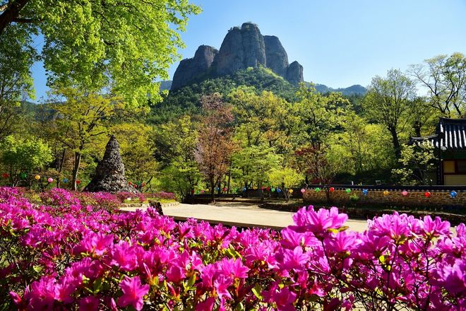 周王山國立公園+大典寺