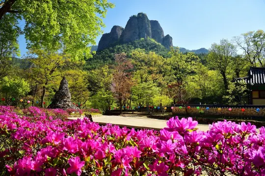 周王山國立公園+大典寺