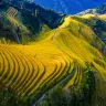 金秋桂林、龍脊4天純玩高鐵團 ※ 龍脊梯田(少數民族服飾體驗、航拍團體vlog)、豪華船遊一江四湖、桂花公社(DIY桂花狀元糕)、田心村狀元橋(田邊小院喝茶)、堯山景區、劉三姐大觀園、穿山、塔山公園