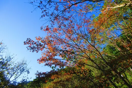 滿月圓國家森林遊樂區