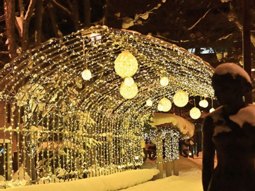 旭川買物公園冬之illumination