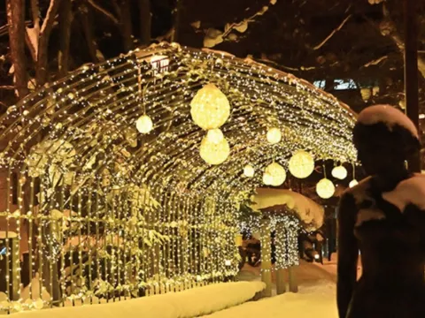 旭川買物公園冬之illumination