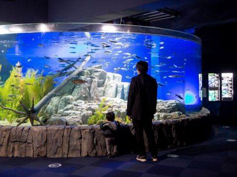 千歲水族館