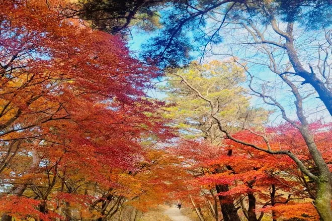 「無等山」芝山遊園地