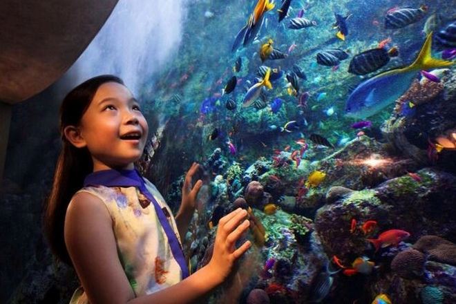 Atlantis Sanya Hotel-水族館