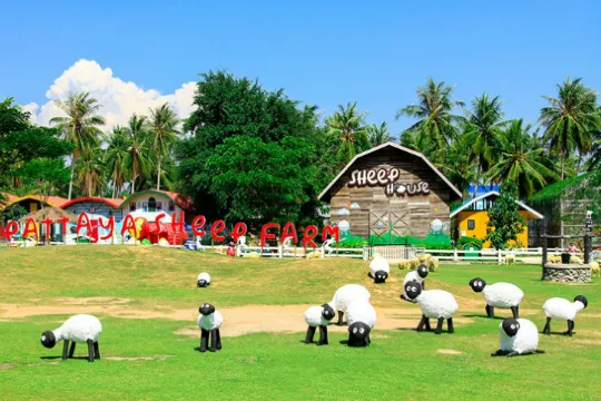 趣緻綿羊樂園