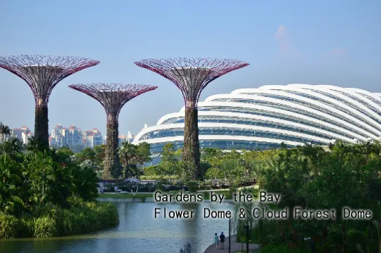 永安旅游