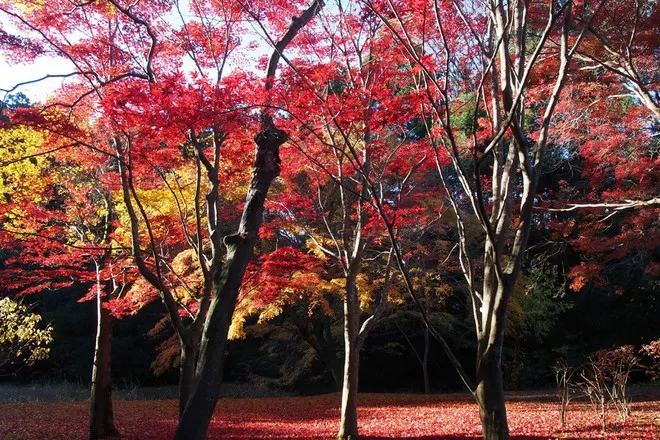 偕樂園