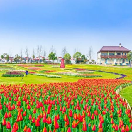 江城武漢5天純玩高鐵團  黃鶴樓、東湖風景區、雲夢祥雲灣、花博匯、非遺打鐵花表演、湖北省博物館、武漢江灘夜景、古德寺、光谷空軌、品嚐蔡林記過早九宮格、漢口喜來登酒店海鮮自助晚餐