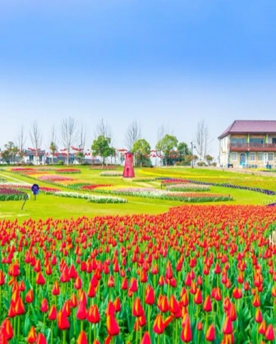 江城武漢5天純玩高鐵團 黃鶴樓、東湖風景區、雲夢祥雲灣、花博匯、非遺打鐵花表演、湖北省博物館、武漢江灘夜景、古德寺、光谷空軌、品嚐蔡林記過早九宮格、漢口喜來登酒店海鮮自助晚餐