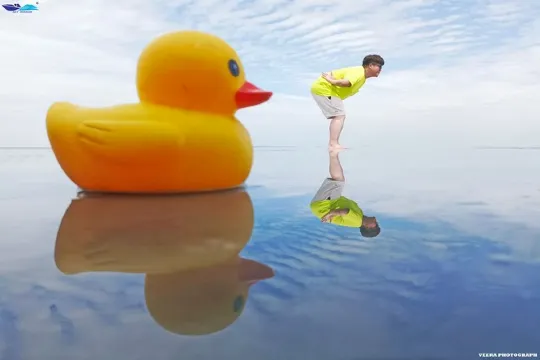 大馬」天空之鏡