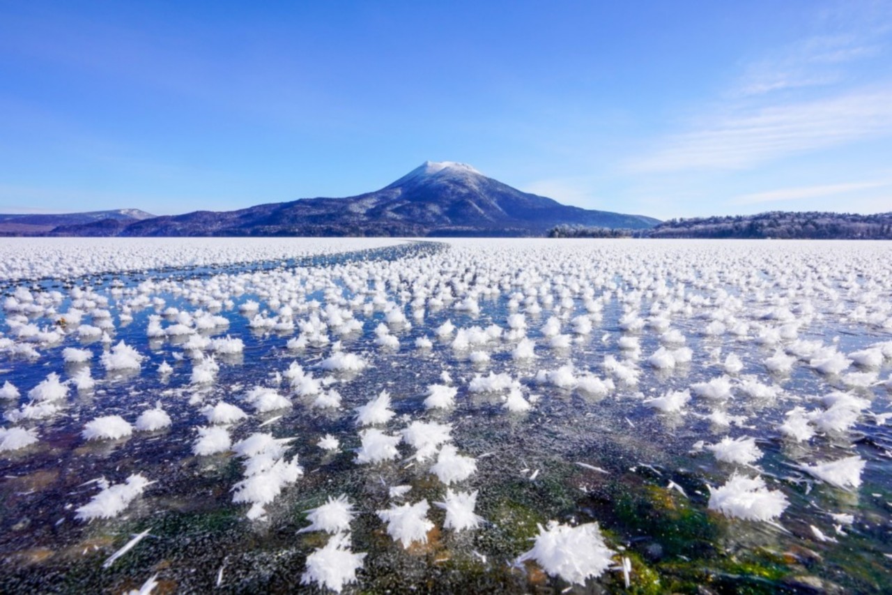 冬の北海道 玩樂賞雪7天之旅 *憑指定推廣碼【RA165】報名勁減-$1200 羊與雲の丘~世界綿羊館、層雲峽(大雪山國立公園、夫妻瀑布)、北見狐狸村、屈斜路湖、阿寒湖、3晚溫泉/度假酒店 冬の北海道 玩樂賞雪7天之旅 *憑指定推廣碼【RA165】報名勁減-$1200 羊與雲の丘~世界綿羊館、層雲峽(大雪山國立公園、夫妻瀑布)、北見狐狸村、屈斜路湖、阿寒湖、3晚溫泉/度假酒店