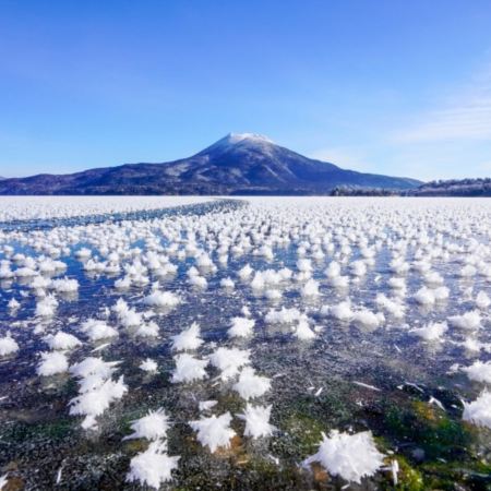 冬の北海道 玩樂賞雪7天之旅    羊與雲の丘~世界綿羊館、層雲峽(大雪山國立公園、夫妻瀑布)、北見狐狸村、屈斜路湖、阿寒湖、3晚溫泉/度假酒店