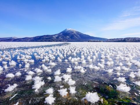 冬の北海道 玩樂賞雪7天之旅    羊與雲の丘~世界綿羊館、層雲峽(大雪山國立公園、夫妻瀑布)、北見狐狸村、屈斜路湖、阿寒湖、3晚溫泉/度假酒店