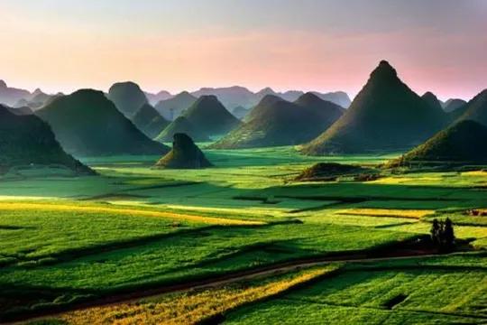 羅平金雞峰油菜花海