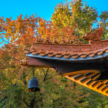 《楓景如畫》一年一度「圭峰山國家森林公園」(觀賞漫山楓葉紅)保證入住洲際酒店旗下Holiday Inn Express江門東站智選假日酒店 【清湯藥膳羊肉火鍋+電飯煲焗雞宴】江門美景純玩2天團
