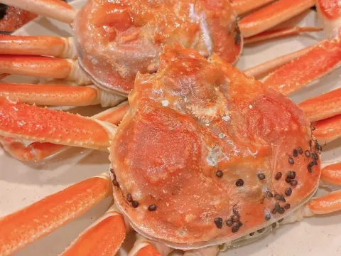 松葉蟹料理