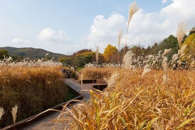 仁川大公園 10月