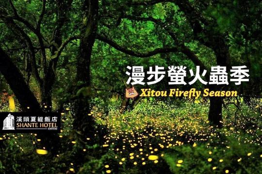 溪頭夏緹飯店螢火蟲