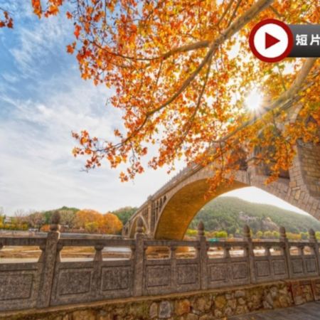 【4鑽】中原古都 ~河南、西安5天純玩之旅  西安(秦始皇兵馬俑、小雁塔、西安博物院、大唐不夜城、永興坊、鐘鼓樓廣場)、 登封(少林寺、塔林、體驗非遺養生八段錦、觀看武術表演)、 洛陽(龍門石窟)
