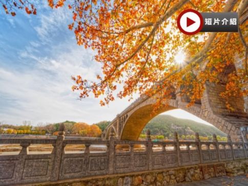 【4鑽】中原古都 ~河南、西安5天純玩之旅  西安(秦始皇兵馬俑、小雁塔、西安博物院、大唐不夜城、永興坊、鐘鼓樓廣場)、 登封(少林寺、塔林、體驗非遺養生八段錦、觀看武術表演)、 洛陽(龍門石窟)
