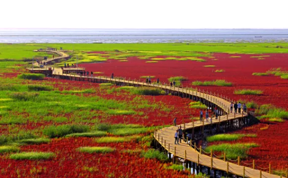 紅海灘國家風景廊道