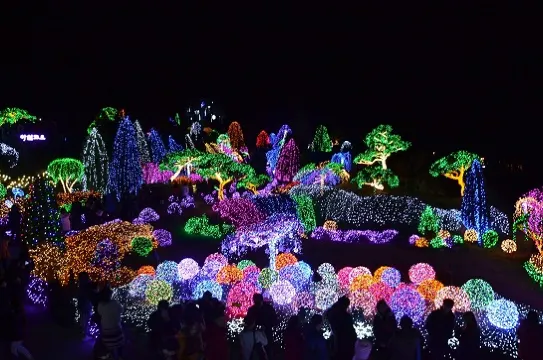 晨靜樹木園(五色星光庭園展)