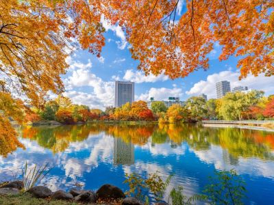 北海道~道東 秋色探索7天名湯之旅     層雲峽(大雪山國立公園)、北見狐狸村、十勝牧場の家~牧羊犬綿羊Show