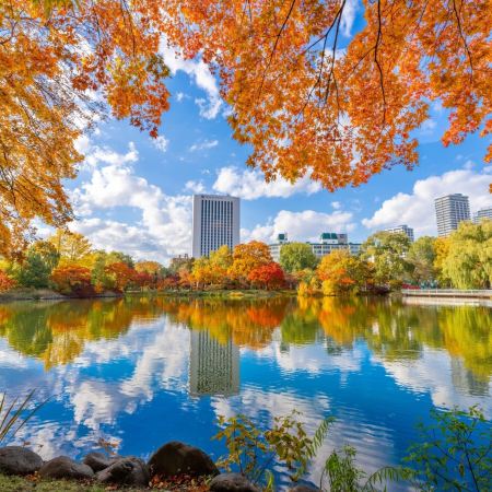 北海道~道東 秋色探索7天名湯之旅     層雲峽(大雪山國立公園)、北見狐狸村、十勝牧場の家~牧羊犬綿羊Show