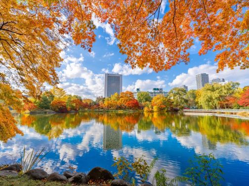 北海道~道東 秋色探索7天名湯之旅     層雲峽(大雪山國立公園)、北見狐狸村、十勝牧場の家~牧羊犬綿羊Show