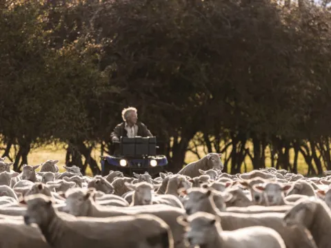 澳式傳統農莊 Brickendon Estate