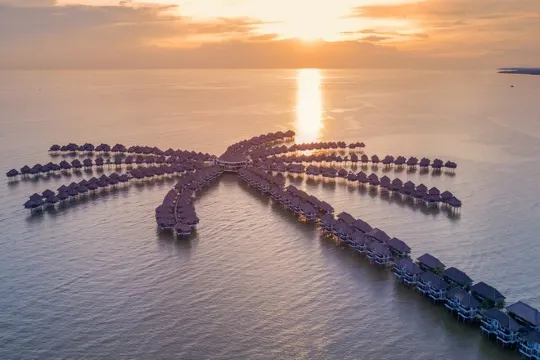 Golden Palm Tree Sepang