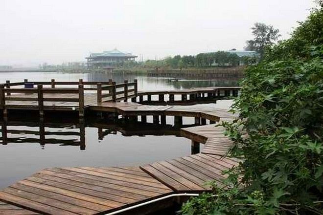 五緣灣濕地公園