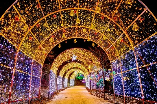 晨靜樹木園(五色星光庭園展)