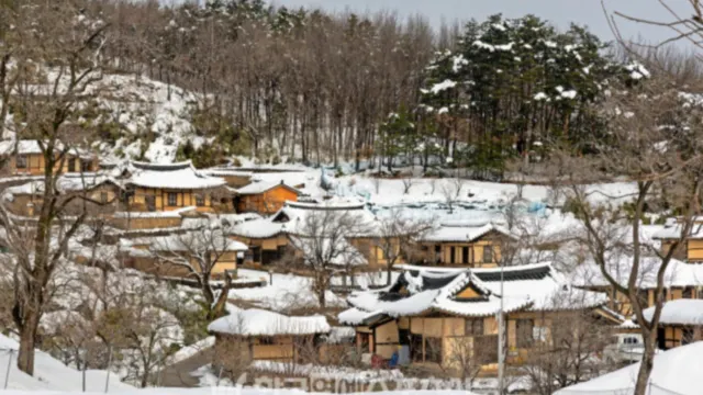 百年韓屋旺谷古村