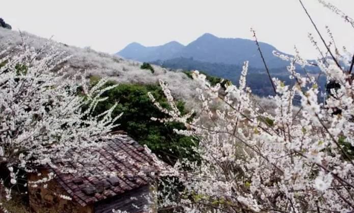 流溪河國家森林公園
