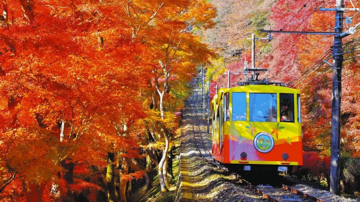 高尾山紅葉